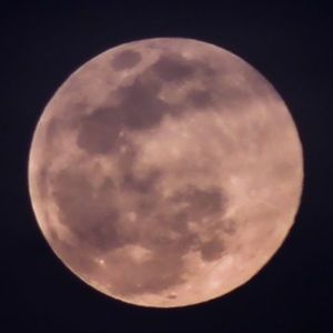 Meet your Posher, Delyla